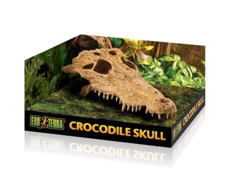 Croc Skull Repile Terrarium Decor